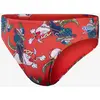 Image de Maillot de bain Speedo Fundies Graphic rouge bleu vert - 30