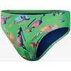 Image de Maillot de bain Speedo Fundies Graphic vert orange bleu - 30