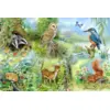 Image de The House Of Puzzles, Étude De La Nature, Grand 250 Piece Puzzle