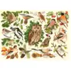 Image de The House Of Puzzles, Oiseaux Des Bois, Grand 500 Piece Puzzle