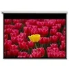 Image de Optoma Panoview DE-9120EGA - ecran de projection - 120 (305 cm)