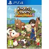 Image de Harvest Moon : LumiÃ¨re D'espoir Special Edition PS4 en occasion ou reconditionné