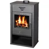 Image de Poêle à Bois avec Thermocheminée V05 Triumph B - 15 kW Chauffage à Eau pour Grands Espaces