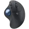 Image de Souris Ergonomique - Sans Fil - Ergo M575s - Graphite