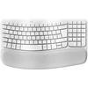 Image de Logitech Wave Keys for Mac