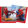 Image de Serviettes Spiderman SOMBO AG