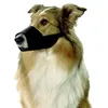 Image de MuseliÃ¨re En Nylon Noir Taille Xxl - Saint Bernard Mastiff en occasion ou reconditionné