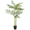 Image de Plante Artificielle "palmier Bambou" 170cm Vert
