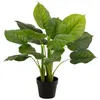Image de Plante Artificielle en Pot Pothos 55cm Vert