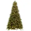 Image de Sapin De Noël Artificiel 4000 Led "prince" 325cm Vert