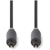 Image de Cordon Audio Nedis Cabw25000at30