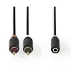 Image de Cordon Audio Nedis Cabw22255at02