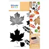Image de Tampons Transparents - Feuilles Aquarelle