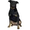 Image de Muselière pour chien en nylon museau plat Duvoplus