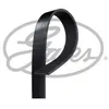 Image de Courroie Accessoire Gates 6 Stries Longueur 975 Mm en occasion ou reconditionné