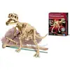 Image de 4m Kidzlabs Kit De Fouille Tyrannosaure Rex