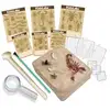 Image de Kit Découverte De La Science - Déterre Les Insectes