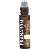 Image de BOUTEILLE - FLACON - FLACON-POMPE Roller bille métal vide PRANAROM - 10 ml
