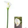 Image de Fleur ARUM sur tige 65cm ivoire