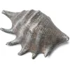 Image de Grand coquillage gris 12 cm