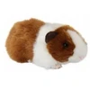 Image de Peluche Cochon D'inde Brun 18 Cm - Living Nature - An18b