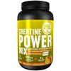 Image de Complément GoldNutrition Creatine Power Mix goût orange mangue (1 kg)