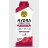 Image de Gel énergétique GoldNutrition Hydra Gel 60 g saveur framboise (16 unités)