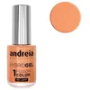 Image de Andreia Professional - Vernis Hydrid Gel Fusion Color - ID2 - 10ml