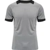 Image de Maillot Hummel hmlLEAD Gris 207393-2006