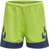 Image de Short femme Hummel hmlLEAD Vert L 207398-6242