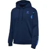 Image de Sweatshirt à capuche coton Hummel Active Bleu 221887-7459