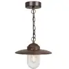 Image de Suspension rouillée d'extérieur luxe 24 cm