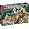 Image de LEGO® Jurassic World  75937 La fureur du Tricératops - Jeu de construction