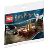 Image de Lego® Harry Potter  30420 Harry Potter And Hedwig Owl Delivery