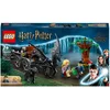 Image de LEGO Harry Potter La Diligence et les Sombrals de Poudlard 76400 LEGO