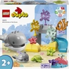 Image de LEGO DUPLO Animaux Sauvages de l’Océan 10972 LEGO