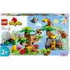 Image de LEGO DUPLO Animaux Sauvages d'Amérique du Sud 10973 LEGO