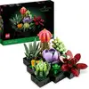 Image de Lego® Botanical Collection Les Succulentes (10309)