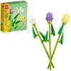 Image de Les Tulipes (40461)
