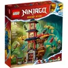 Image de Lego® Ninjago® 71795 Les Noyaux D’énergie Du Temple Du Dragon