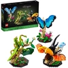 Image de La Collection D’insectes (21342)