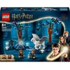 Image de LEGO Harry Potter La Forêt Interdite : les Créatures Magiques 76432 LEGO