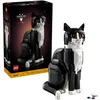 Image de Le Chat Bicolore (21349)