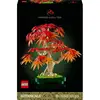 Image de 10348 botanicals bonsaï d’érable rouge du japon 10348