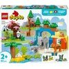 Image de LEGO Duplo Ma Ville Familles d'Animaux Sauvages 3-en-1 10446 LEGO