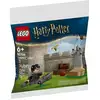 Image de Lego® Harry Potter  30706 La Leçon De Quidditch