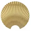 Image de Patère concha medium diam 20 cm