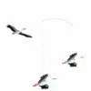 Image de Lucky Storks