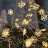 Image de Guirlande lumineuse LED NYNNE Flocon de Neige, Sirius 20 LED - Sirius