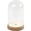 Image de Cloche en plastique - 20 - Transparent - 18 x 11 cm - Socle MDF